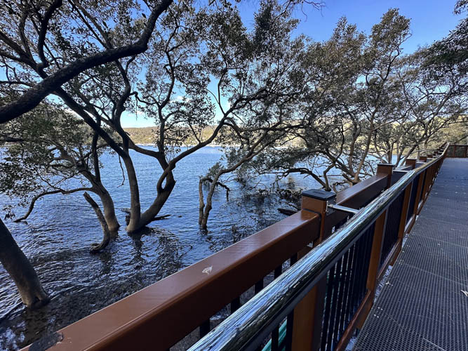 Kangaroo Point Boardwalk, Brooklyn