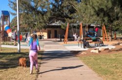Mills Park Asquith