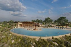 African Safari Experience