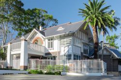 Lane Cove is Buzzing: A Fresh Start and a Treasure Hunt for Little Learners