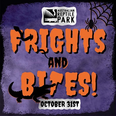 560584740_2044333439639791_447896526758503848_n