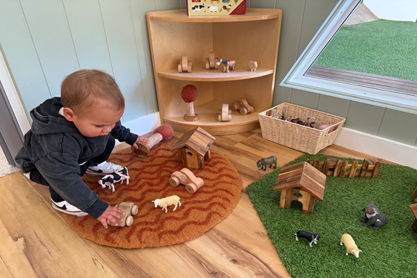 Explore & Develop Artarmon - Dickson Ave (3)