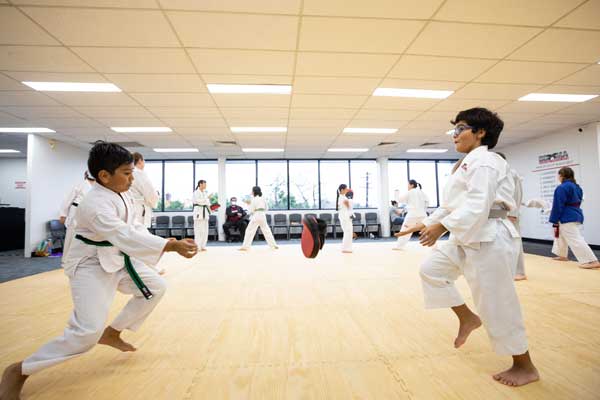Summer School Holidays: Black Belt Martial Arts