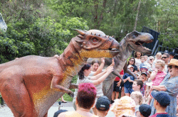 Best Things to do in Sydney this Weekend (30 January - 1 February)