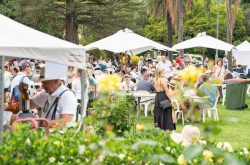 Sparkling Sydney is at Wahroonga Park this Sunday