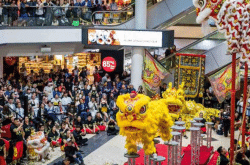 Best Things to do in Sydney this Weekend (13-15 February)