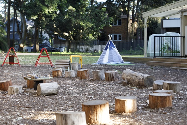 this is a raw file image and has not been colour corrected yet