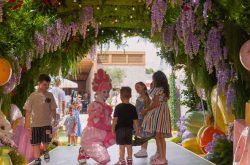Candy Forest at The Vineyard