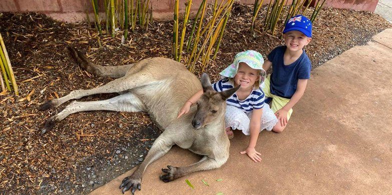 Australian Reptile Park kangaroos