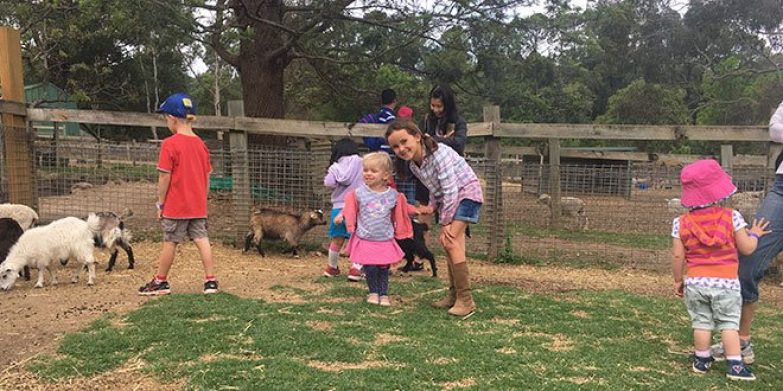 Farms near Sydney | Family-friendly day trips | Animals galore!