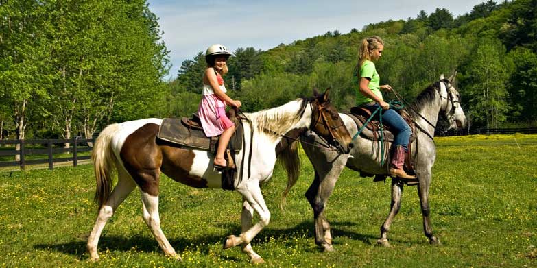 Horse-Riding-Sydney