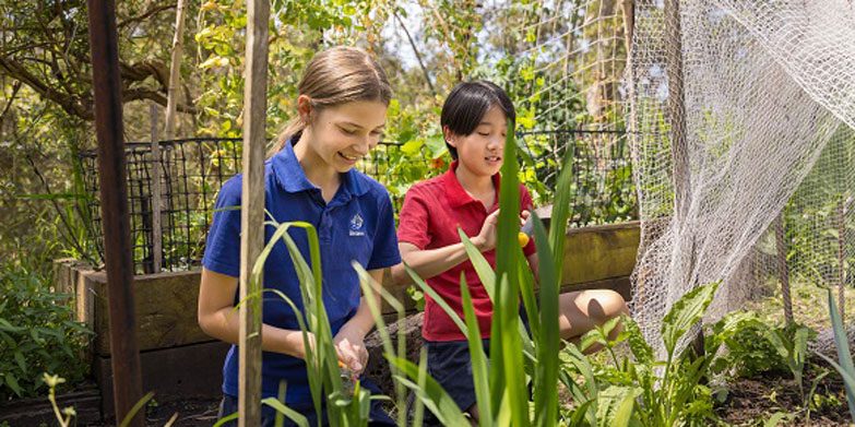 North-Shore-School-Guide-Alternative