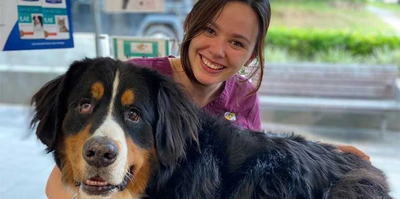 Chocolate toxicity in dogs