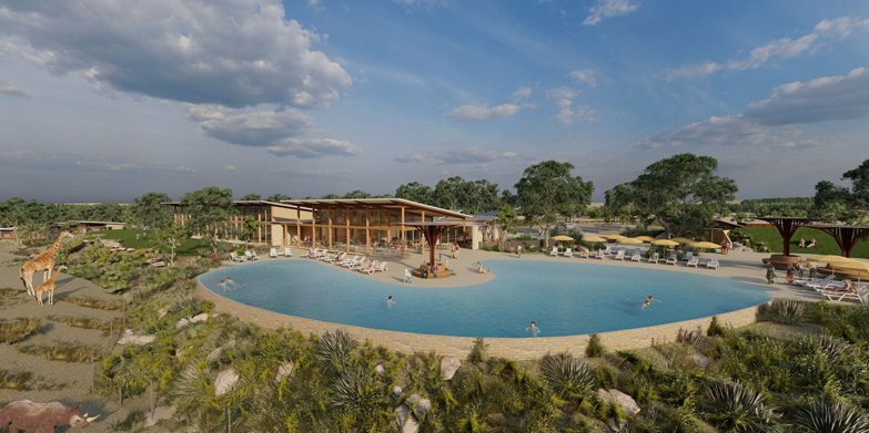 African Safari Experience