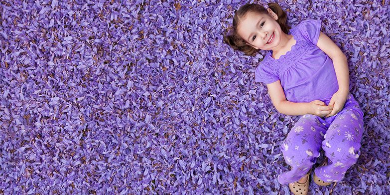 jacaranda north shore