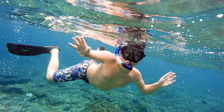 5 of the best snorkelling spots in Sydney